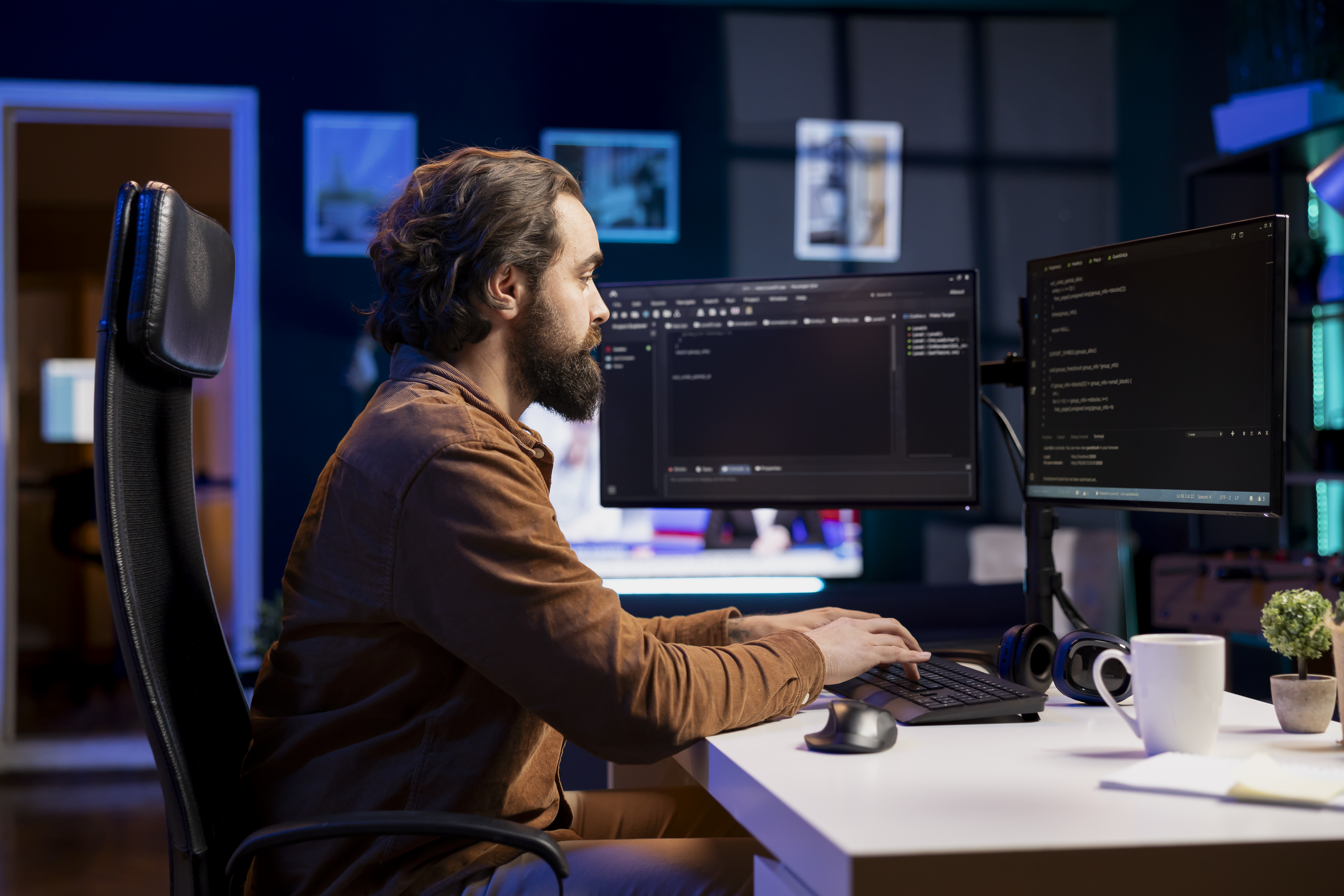 Professional developer